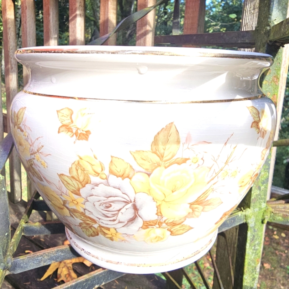 Facciolini Flower Pot